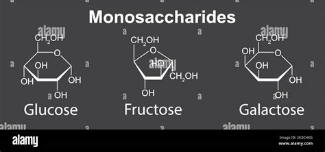 Chemical Illustration Of Monosaccharides Glucose Fructose And Galactose Vector Illustration