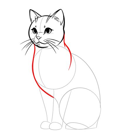 how to draw a realistic cat 5