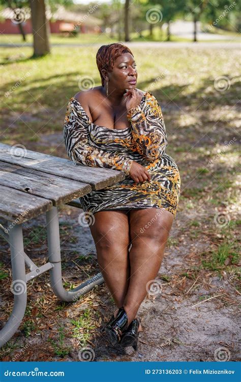 Bbw Big Black Beautiful Model Sitting On A Park Bench Outdoors Stock Image Image Of Model