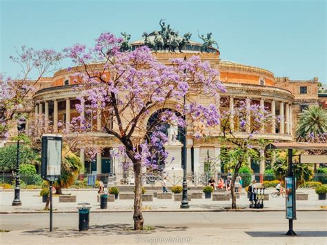 Driving In Sicily 10 Invaluable Tips And Tricks From A Local