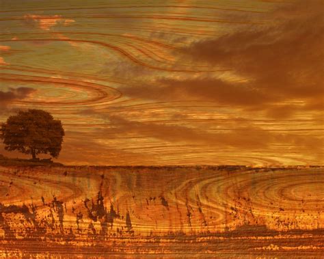 brown sunset wallpaper brown wallpaper  fanpop