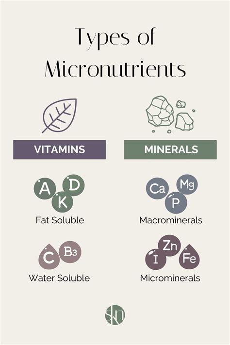 What Are Micronutrients? - Stephanie Kay Nutrition