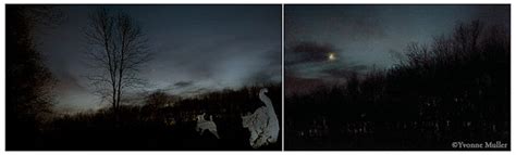 Canteen Magazine S Naked Judging Learning From Rejection Part Lenscratch