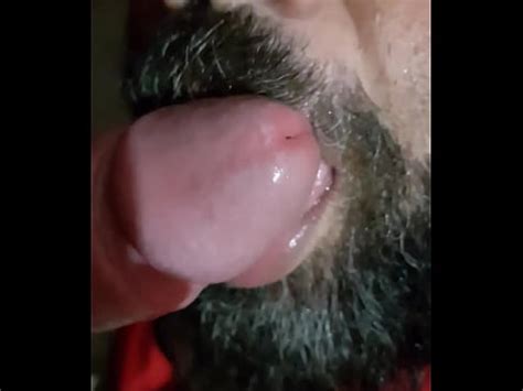 Chupando No Estoque Do Bar XVIDEOS