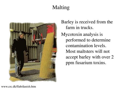 flow chart  malting  brewing powerpoint