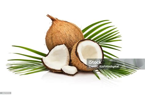 Buah Kelapa Terisolasi Di Latar Belakang Putih Foto Stok Unduh Gambar