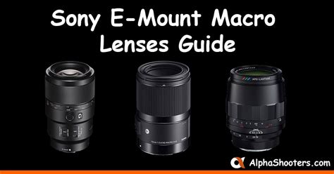 Sony E-Mount Macro Lenses Guide - Alpha Shooters