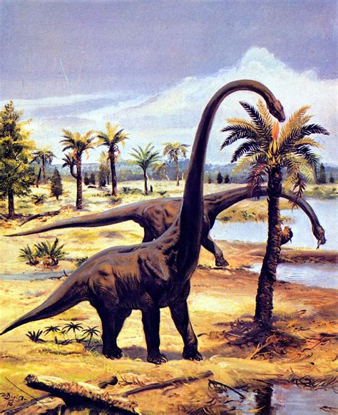Plant Eating Animals Are Called Dash - Animals World