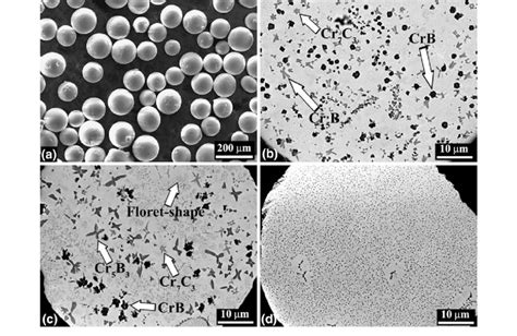 A Sem Micrograph Of The Gas Atomized Powder Particles B Through D Download Scientific