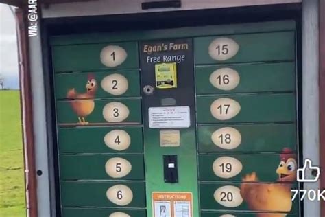 roadside farm fresh egg vending machine spotted  texas