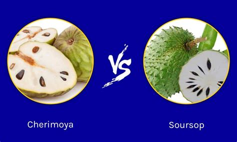 Cherimoya vs Soursop: Is There a Difference?