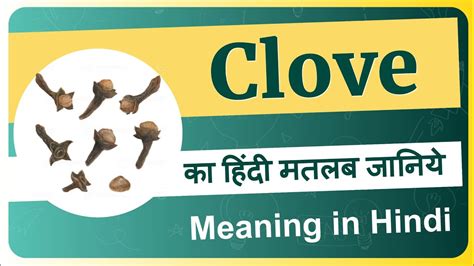 Clove Meaning In Hindi Clove Ka Matlab Kya Hota Hai Clove Means And