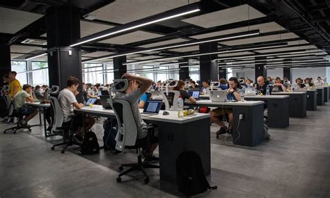 work  revealing reasons