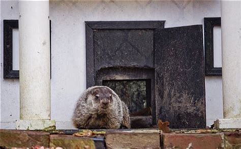 Groundhog Day Tradition To Carry On With Gen Beauregard Lee