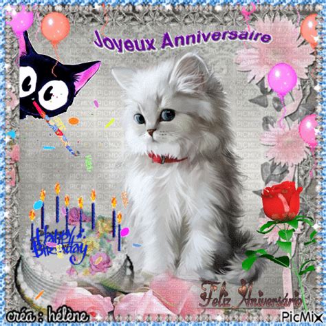 Anniversaire In 2024 Pinterest Photos Cats Bouquet