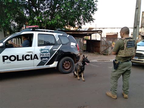 Pcpr Desmantela Ponto De Venda Drogas No Norte Do Estado Pol Cia