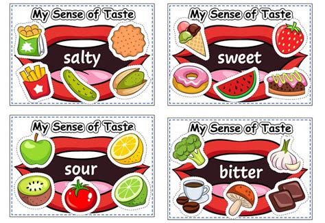 senses taste sound touch sight  smell teachersmagcom