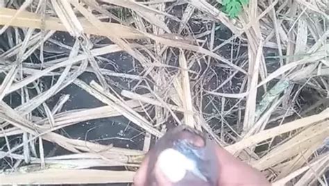 Maharashtra Rajya Hindi Gay Porn Creator Videos Free Amateur Nudes XHamster