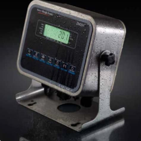 zm series bsi scales