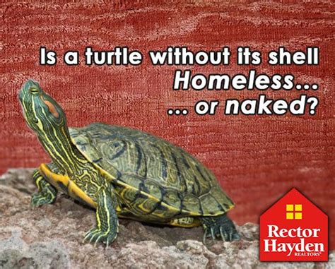 Is A Turtle Without Its Shell Homeless Or Naked Realestatehumor Motivational Messages