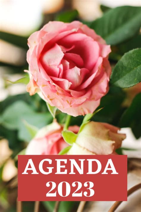 Buy Agenda 2023 Agenda Semainier d un an de janvier 2023 à décembre