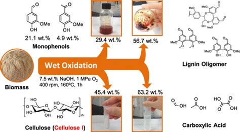 Complementing Vanillin And Cellulose Production By Oxidation Of