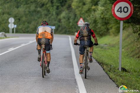 Pirinexus Sea Otter Girona Foto Billy Fotogr Flickr