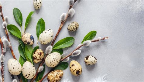 Eco Easter Banner Pussy Willow Branches Green Leaves Natural Quail Eggs And Feathers On Light