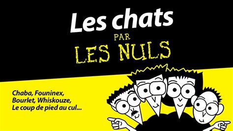 LES CHATS Par Les Nuls Canal YouTube