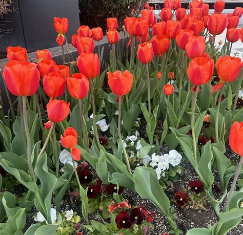 Expansion projects will soon transform the look of UW Parkside 1