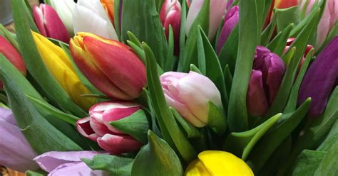 Fleuriste Isabelle Feuvrier Les Tulipes