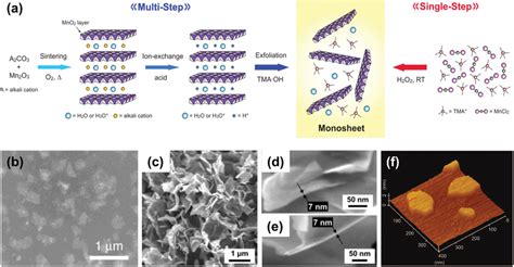 Mno2 Nss Prepared By The Exfoliation Strategy A Schematic