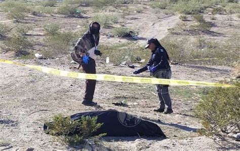 Van 8 Cuerpos Encontrados En Cementerio Clandestino De Portal Del Valle