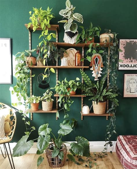 47+ Indoor Plant Displays That Bring the Outdoors inside in 2024