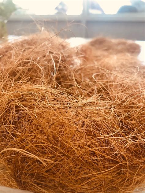 Vietnam Natural Coconut Coir Coconut Husk Fiber Yellow Brown Color For