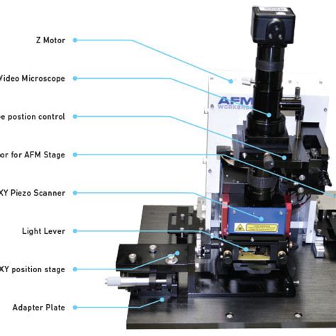 Life Sciences Atomic Force Microscope Biology Afm For Research
