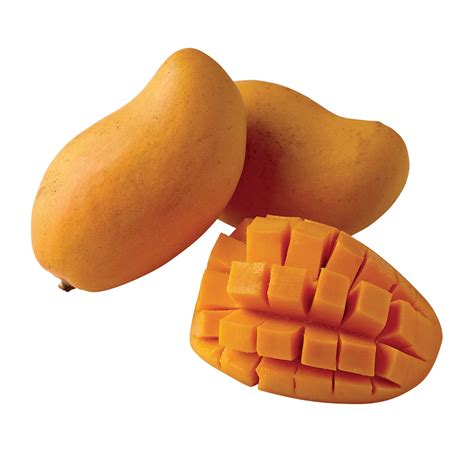 fresh large ataulfo mango shop specialty tropical
