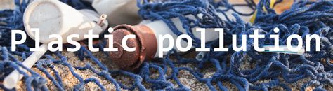 Protect Marine Life • Maïté Jacquot | Ecology & Self-development