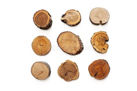 Natural Wood Cut Isolated Stock Image Image Of Natural 181182163