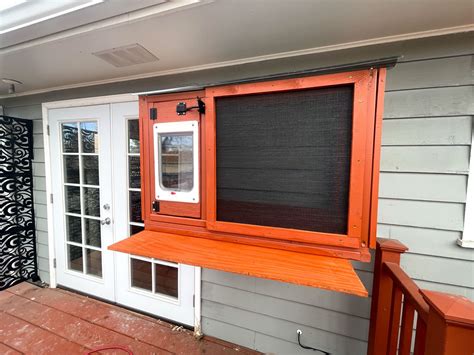 feral cat shelter diy 13