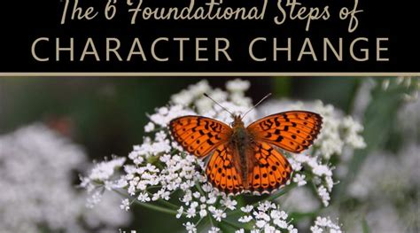 The 6 Basic Stages Of Character Change The Character Comma