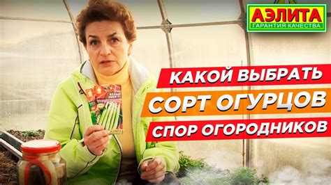 Какой выбрать сорт огурцов? Спор огородников - YouTube