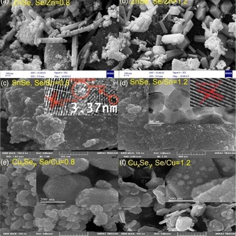 Sem Images Of A B Znse Nanostructures With Different Se Zn Ratios