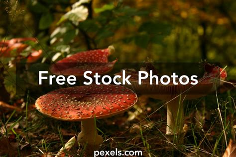 Cap Texture Photos Download The Best Free Cap Texture Stock Photos