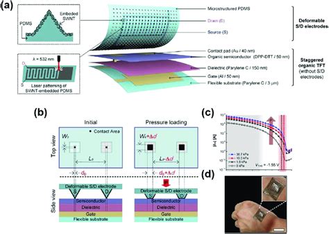 A Illustration Of An Ofet Based Flexible Pressure Sensor Consisting