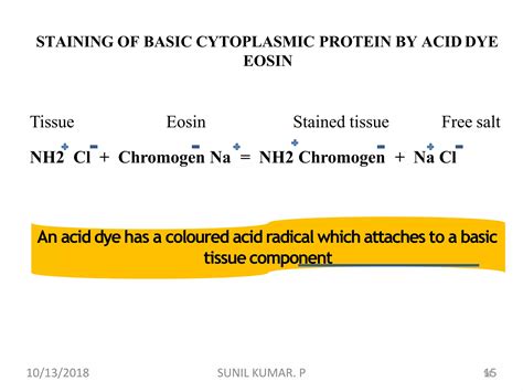 Hematoxylin And Eosin Staining Hand E Staining Ppt