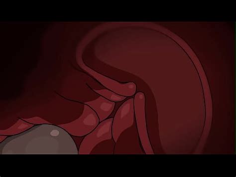 Nier Automata B Gets Hot Sex Hentai Animation XVIDEOS