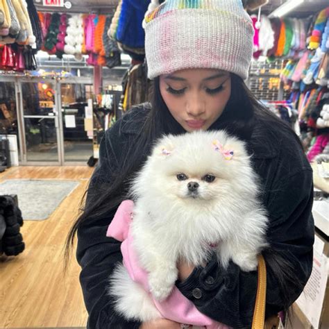 Stream Fuck You Listen To Fuck You Spotify Playlist Online For Free On Soundcloud