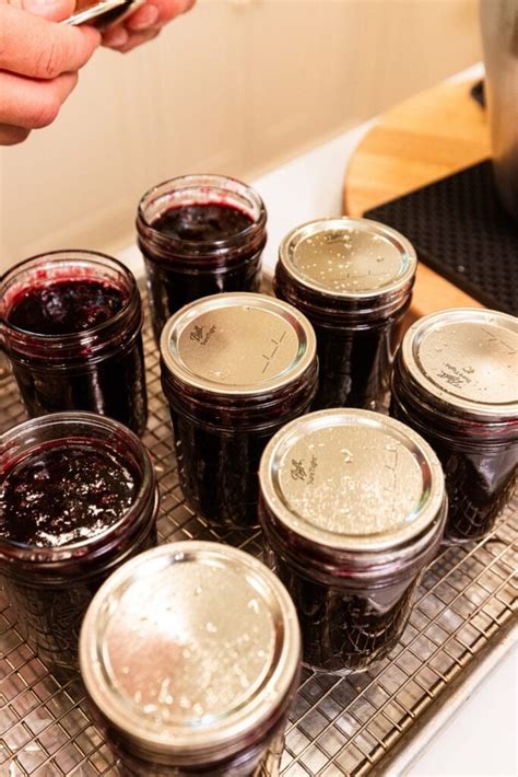 Blueberry Jam Recipe Pectin Method Video Wyse Guide