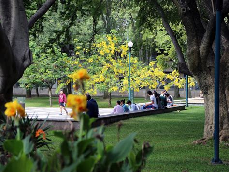 Mexican City Decriminalizes Public Sex To Stop Police Extortion NPR